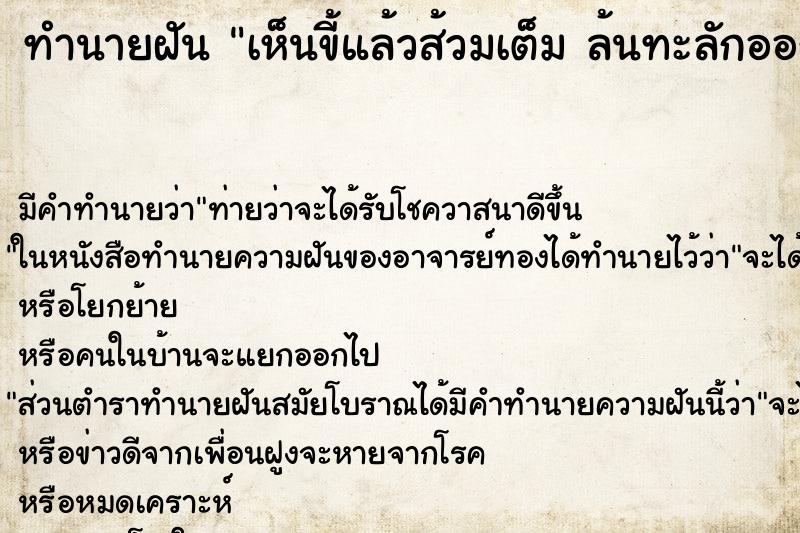 ทำนายฝัน เห็นขี้แล้วส้วมเต็ม ล้นทะลักออกมา ทำนายฝัน เห็นขี้แล้วส้วมเต็ม ล้นทะลักออกมา
